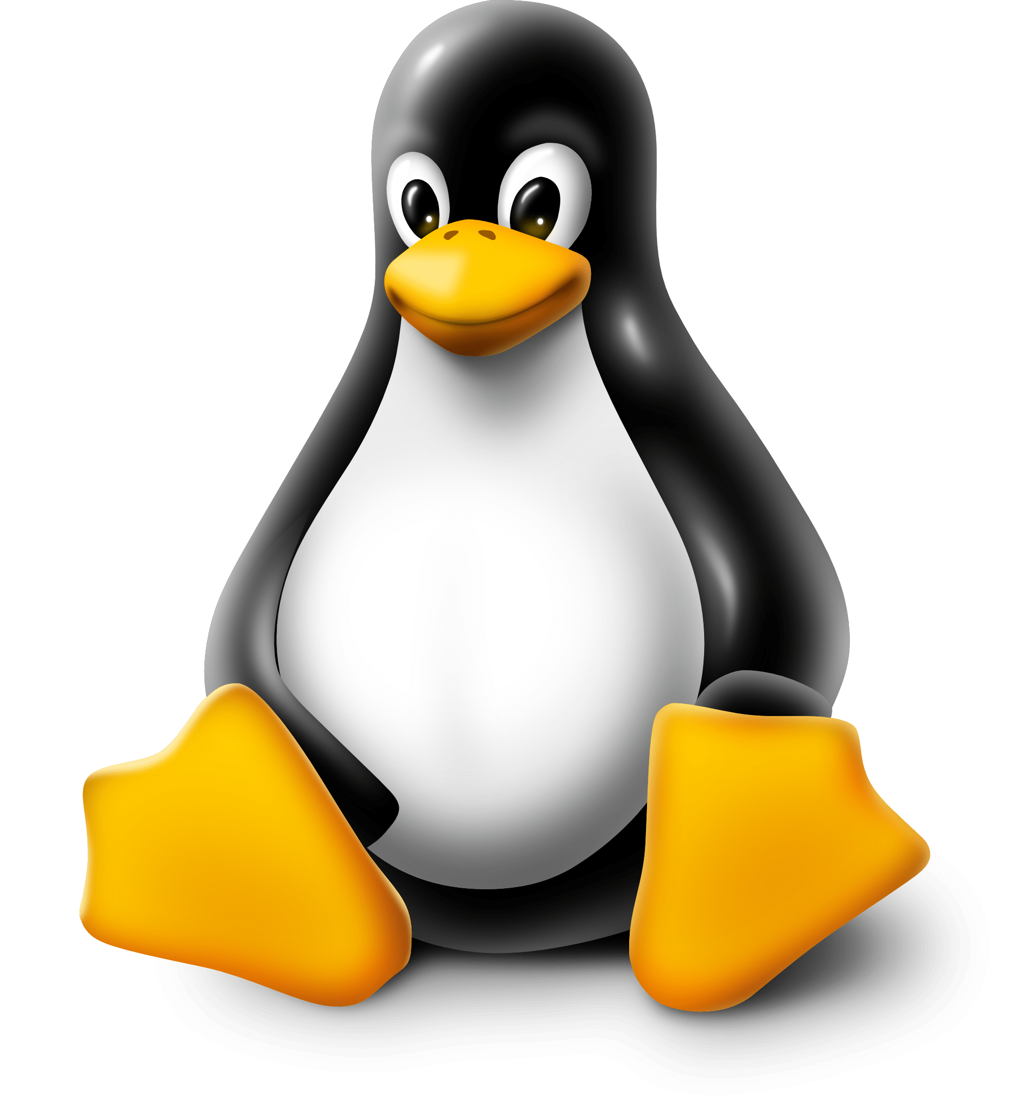 Linux VPS Hosting